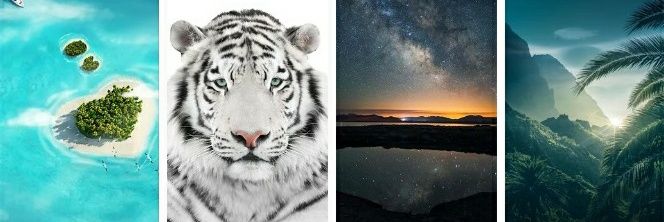 Maryl Ine banner