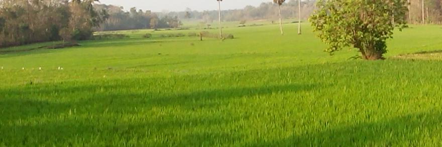 venkatr11's profile banner image