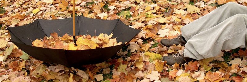 ierisik_OBV's profile banner image