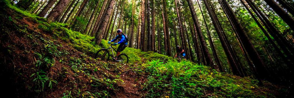ever_bike's profile banner image