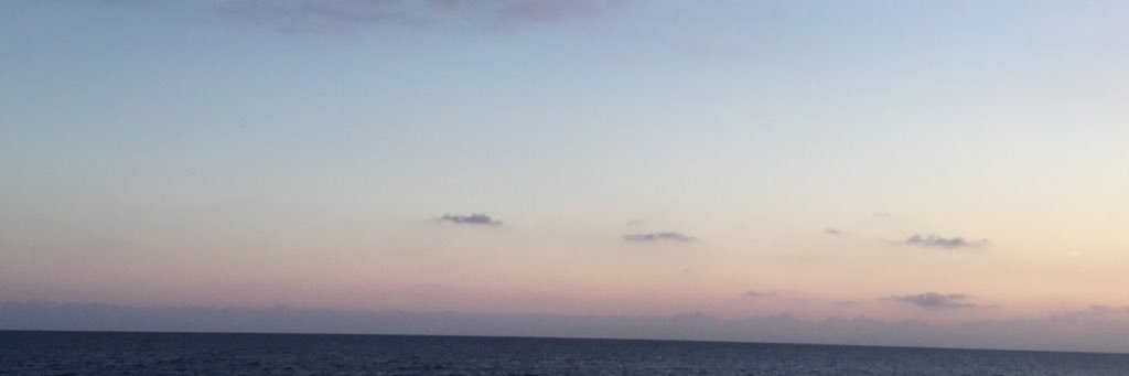 Debora Lambruschini banner