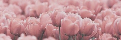 varryslove_'s profile banner image