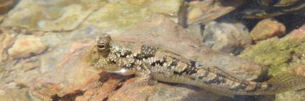 bbeight1412 Profile Banner