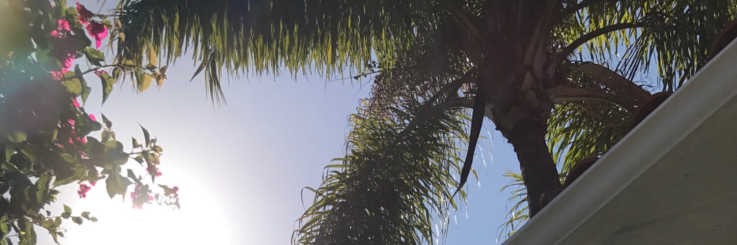 OhMyGodMiami's profile banner image