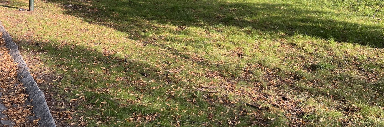 nasssst_'s profile banner image
