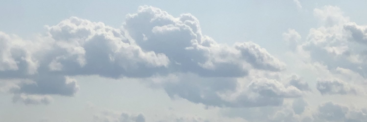 maaevvee's profile banner image