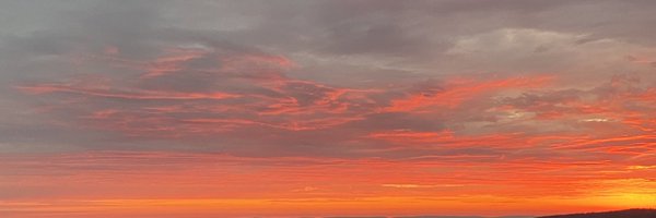 SordenEffect Profile Banner