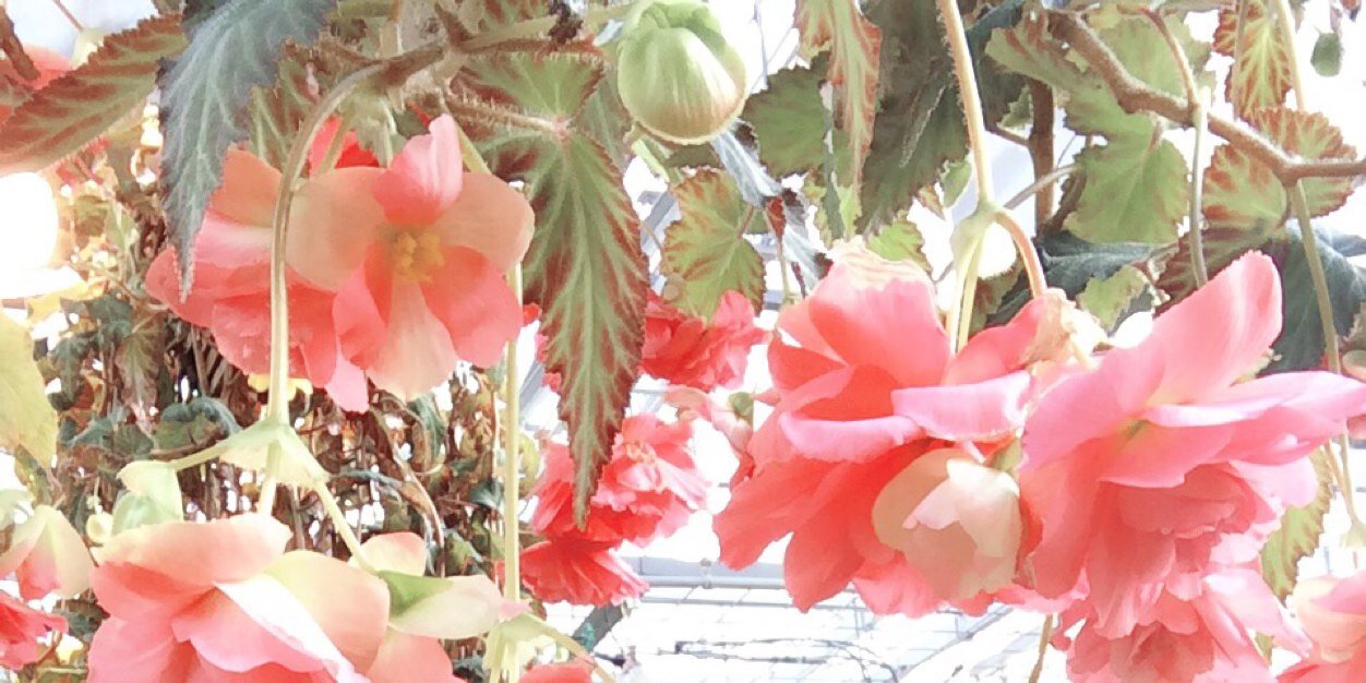 chika__1001's profile banner image