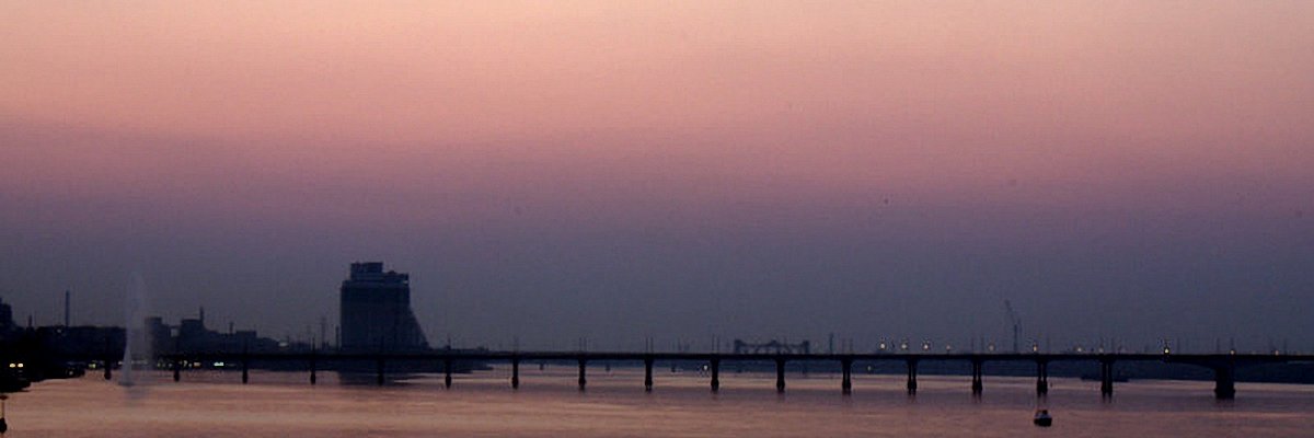 dneprotwit's profile banner image