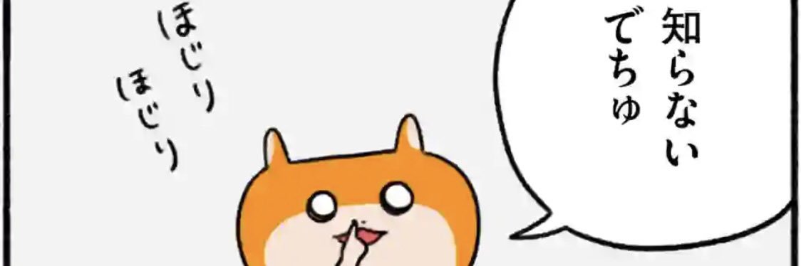 puri_nchan's profile banner image