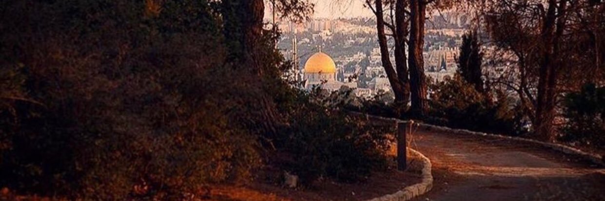 Ahmad د.أحمد موسى العربي's banner