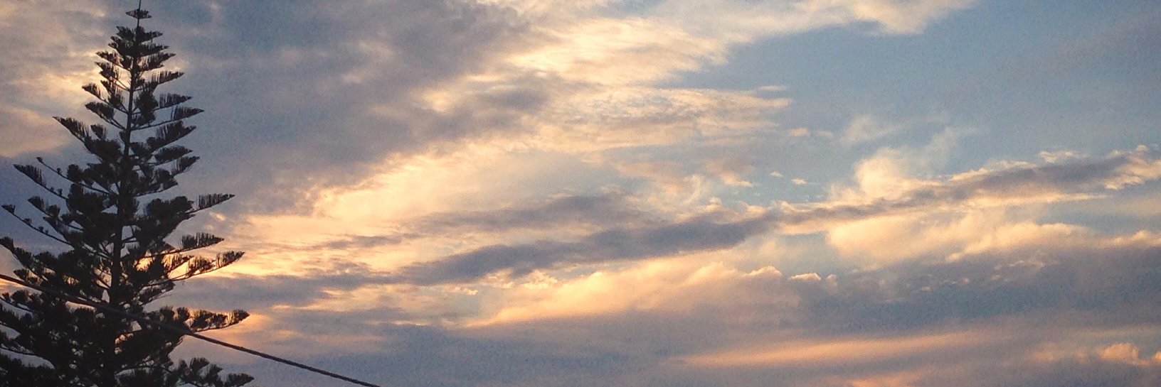 Leandra91's profile banner image