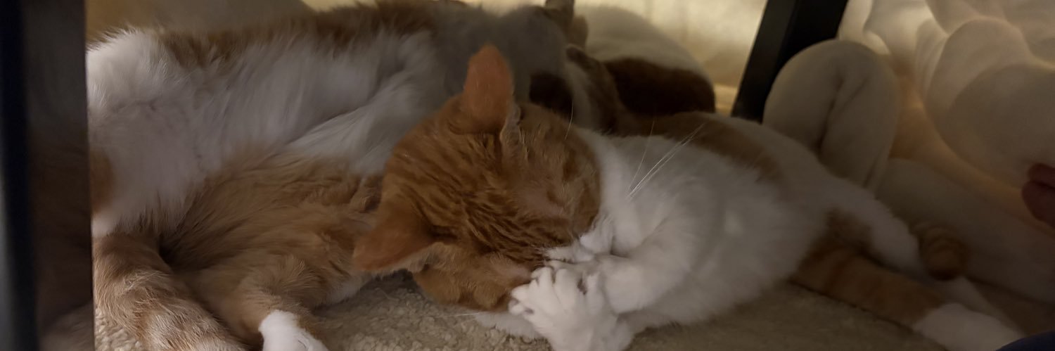 まあやん🌿 banner