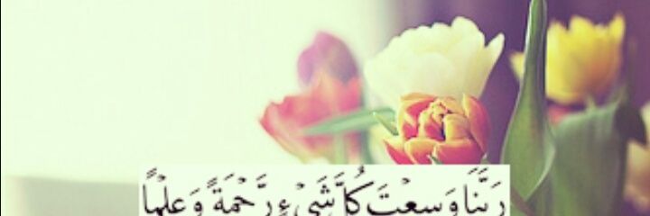 ابو فيصل banner