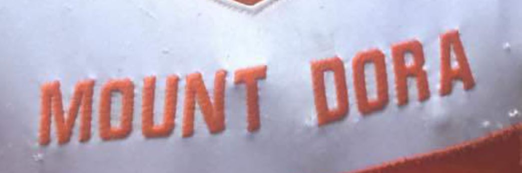 Sean King banner