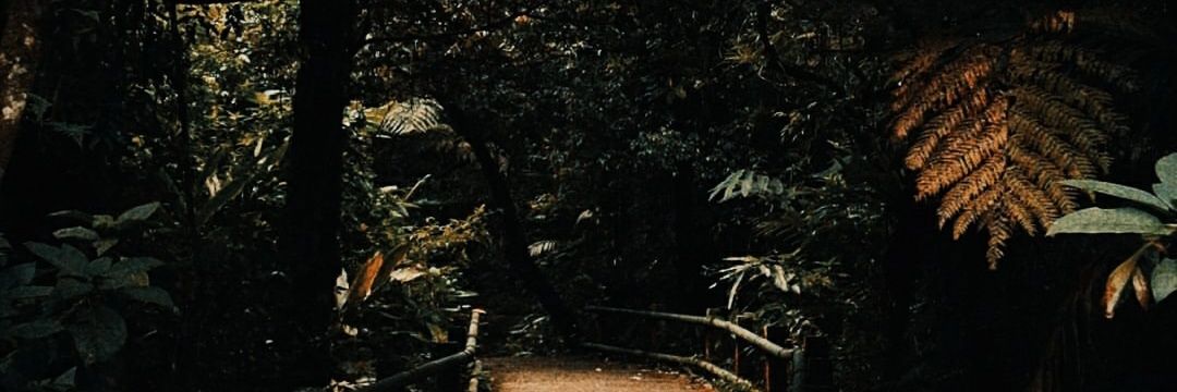 Alghifarivaldi's profile banner image