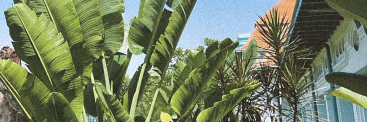 lelitatyo's profile banner image