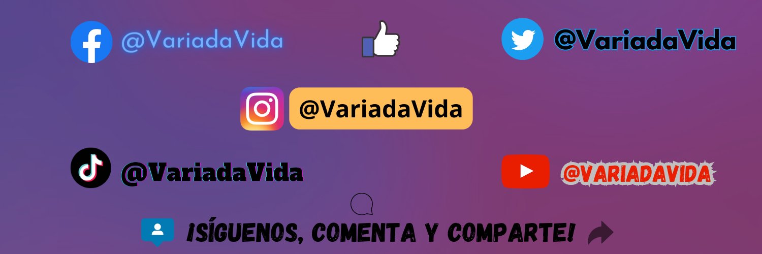 VariadaVida's profile banner image
