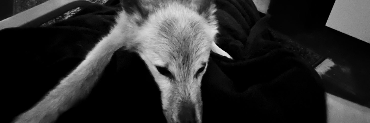 ythmnds's profile banner image