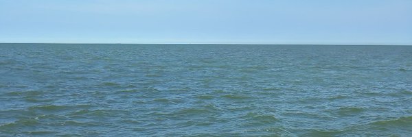 Webmaster_Dev Profile Banner