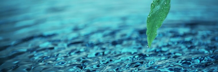 docparmar's profile banner image