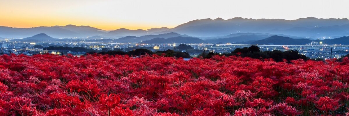 ruka_ando0823's profile banner image