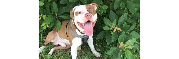 NikkiNasty_ Profile Banner