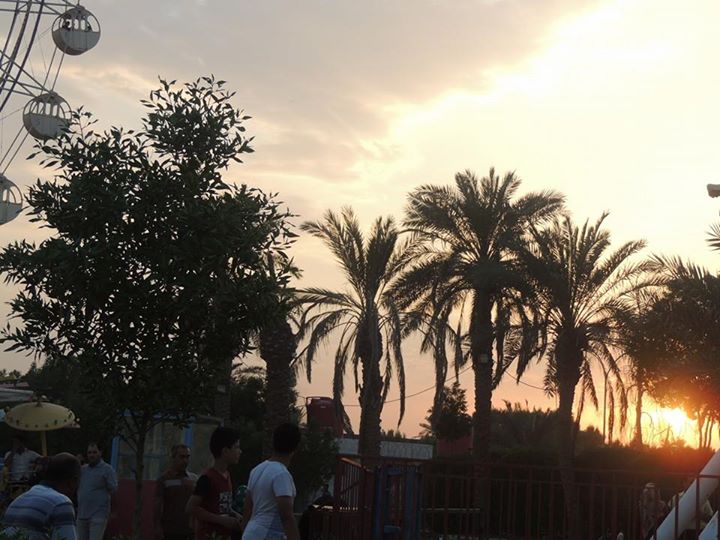 moham015ed's profile banner image