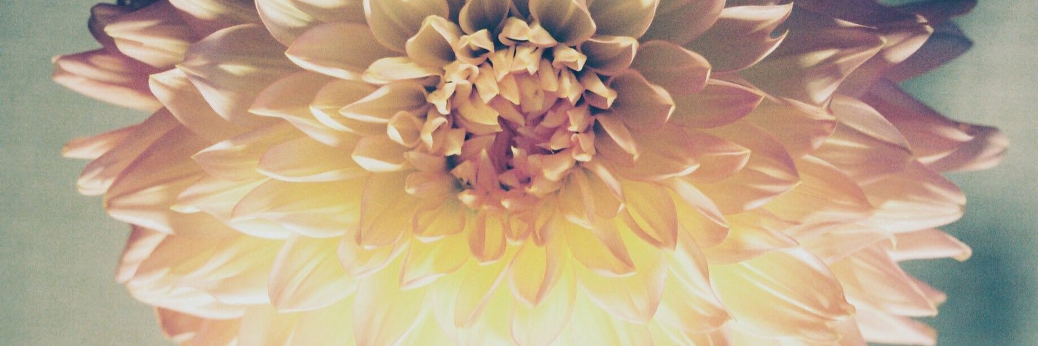 aryo_n48's profile banner image
