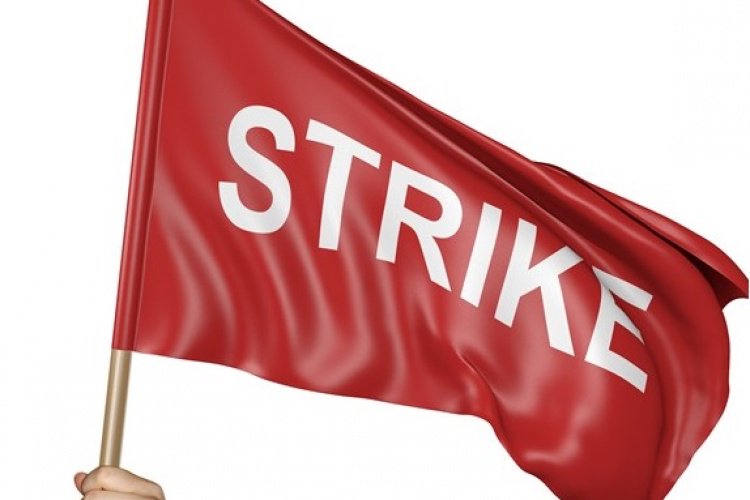GENERAL STRIKE 🔥 NOW! 🦺 March for Progress!🌹🐋's banner