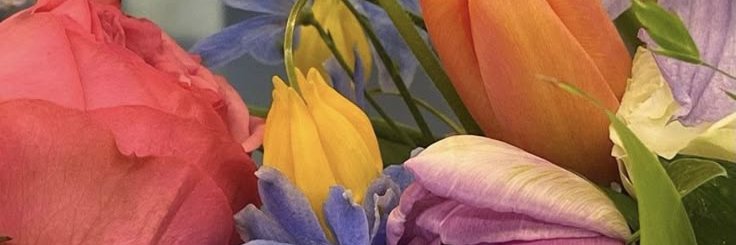 ghodhel2's profile banner image