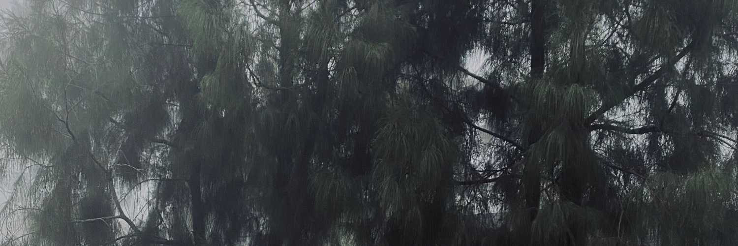 yudhangrt's profile banner image