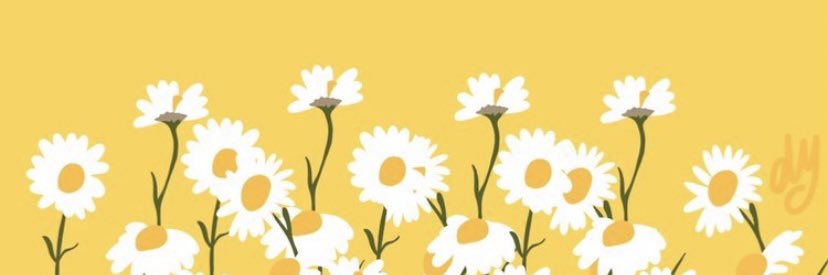 seydaisikay's profile banner image