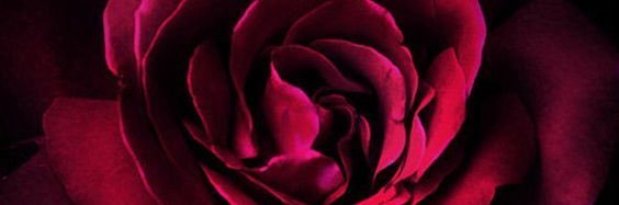 KafaRiyadh's profile banner image