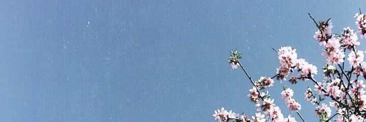 Judith_munta's profile banner image