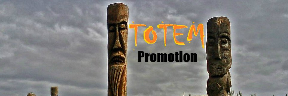 TotemPromotion's profile banner image