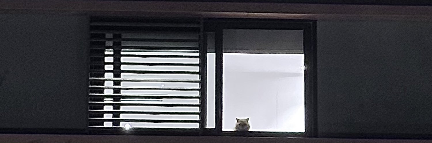 nyii__'s profile banner image