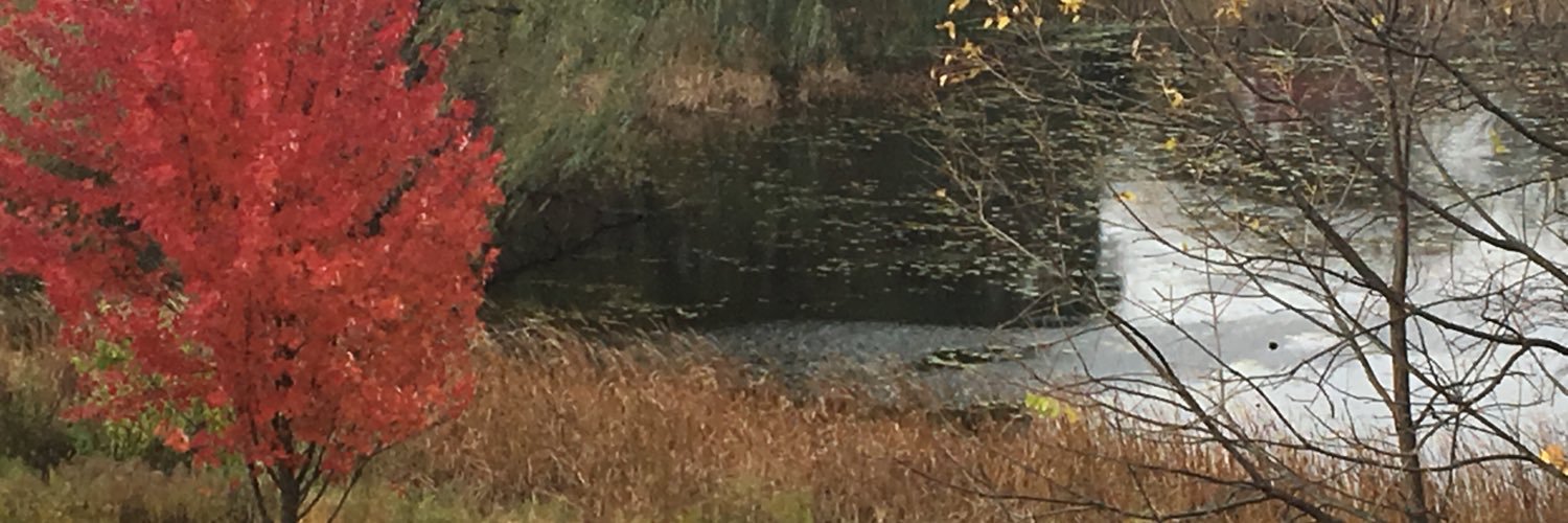 Landyears's profile banner image