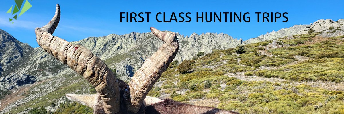 iberhunting's profile banner image
