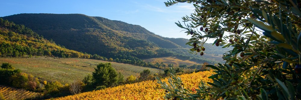 PierreAmadieu's profile banner image