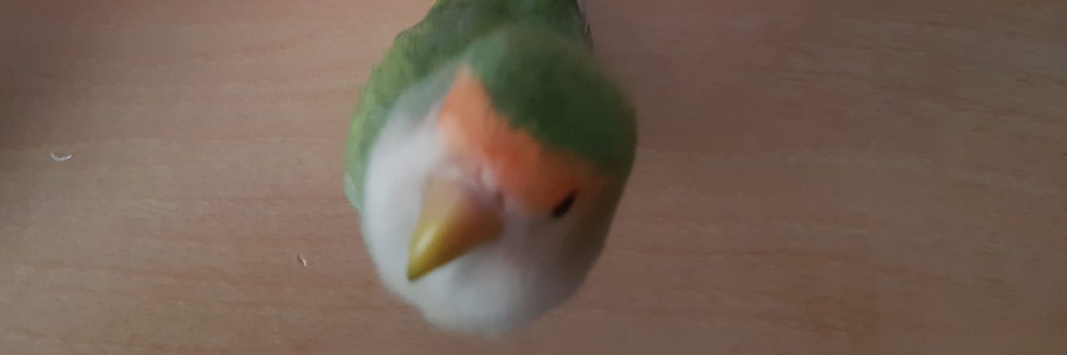 TheRuimy95's profile banner image