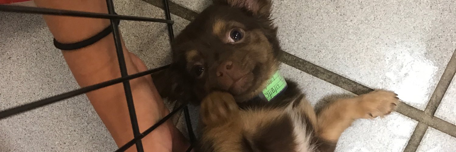 rileydion20's profile banner image