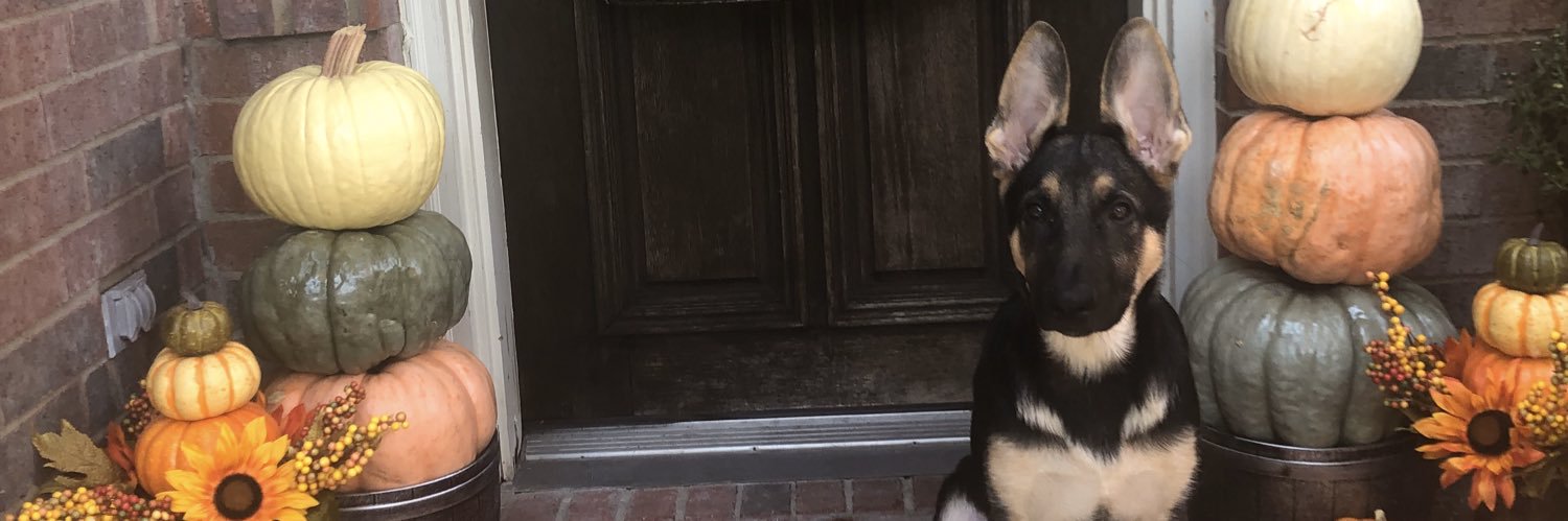 jeffcasey72's profile banner image