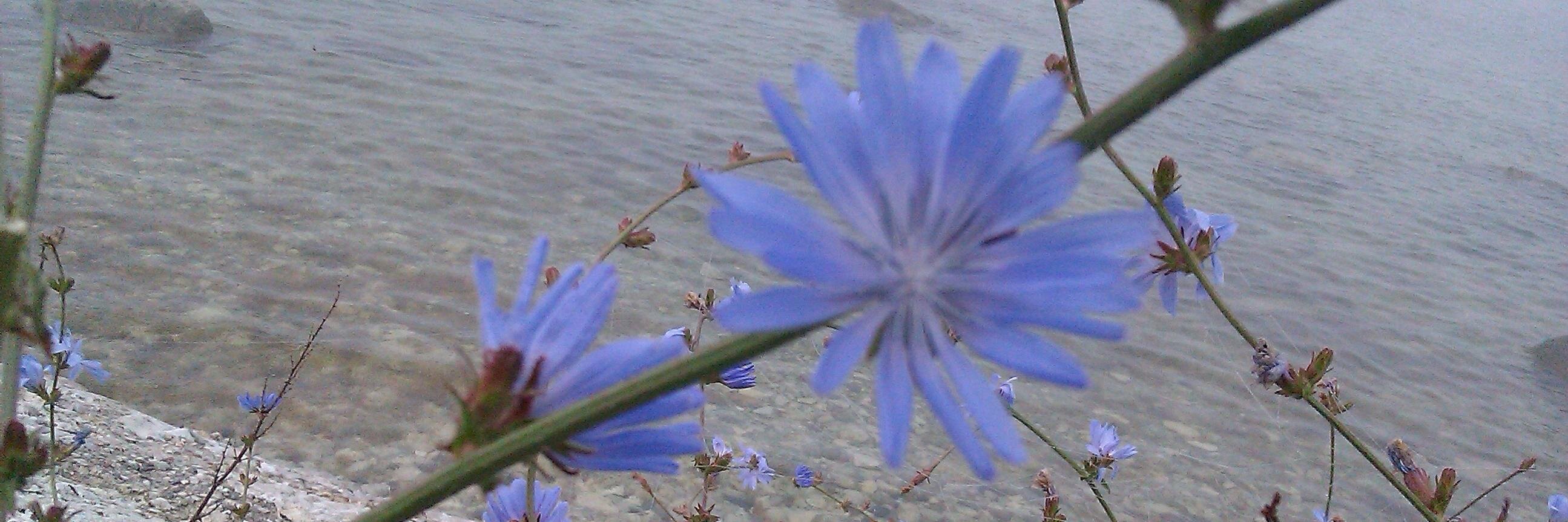 HansPeterLindau's profile banner image