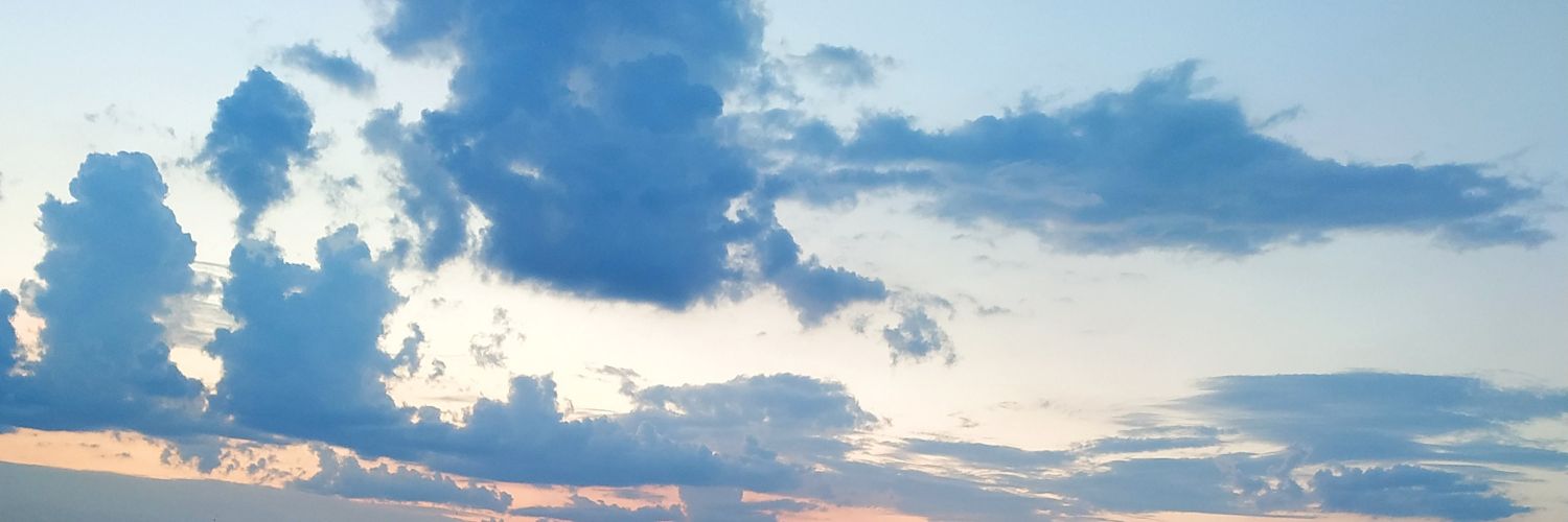 evsyaa's profile banner image