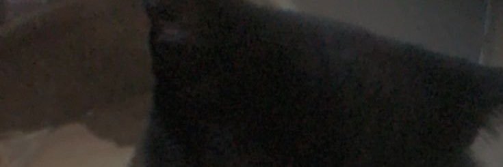 CheeseEdits's profile banner image