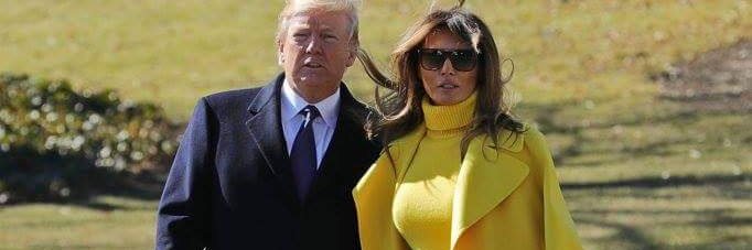 DianeLovesTrump's profile banner image