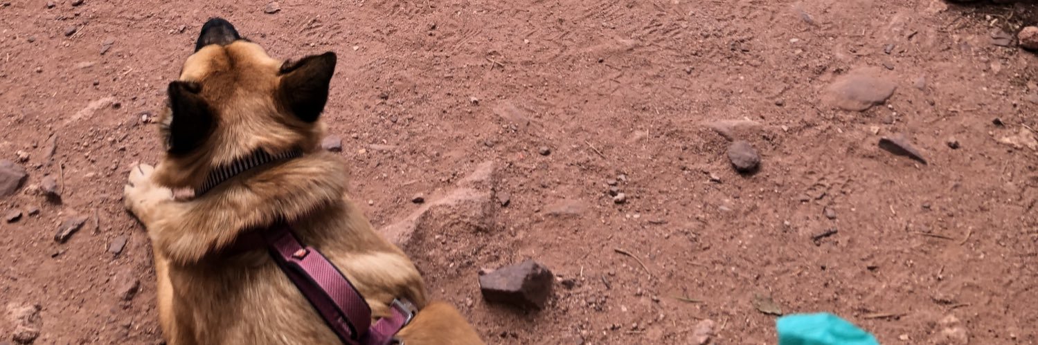 TheMcQuig's profile banner image
