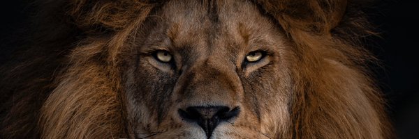 KobieJamison Profile Banner