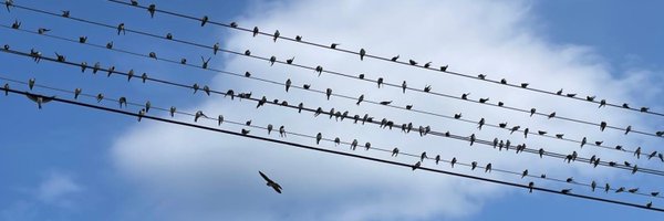 MariaZuffova Profile Banner